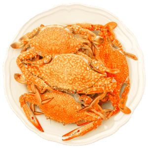 Steamed Crabs Dish